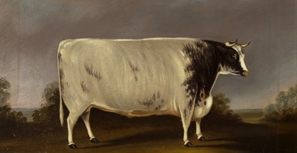 The Country House Auction